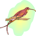 Hummingbird 12 Clip Art