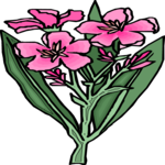 Flower 390 Clip Art