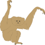 Monkey 05 Clip Art