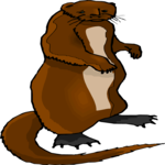 Weasel 5 Clip Art