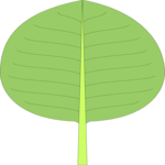 Leaf 009