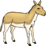 Donkey 07 Clip Art