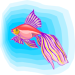 Goldfish 04 Clip Art