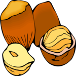Nuts 1 Clip Art