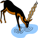 Antelope Drinking Clip Art