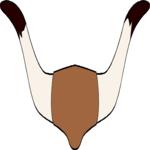 Longhorn Border Clip Art