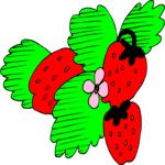 Strawberries 22 Clip Art
