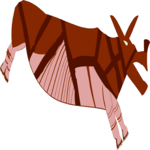 Rhino 2 Clip Art