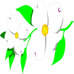 Dogwood 2 Clip Art