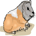 Guinea Pig Clip Art