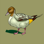 Duck 22 Clip Art