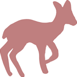 Fawn Clip Art