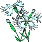 Flowers 323 Clip Art