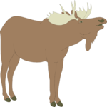 Moose 04 Clip Art