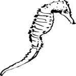 Sea Horse Clip Art