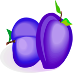 Plums 2 Clip Art