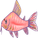 Catfish - Corydoras 2 Clip Art