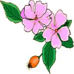 Flowers 234 Clip Art