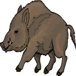 Boar 7 Clip Art