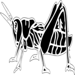 Grasshopper 3 Clip Art