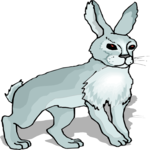 Rabbit 21 Clip Art