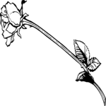 Rose 09 Clip Art