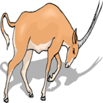 Antelope 46 Clip Art