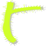 Prickley Extension Clip Art