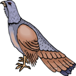 Bird 167 Clip Art