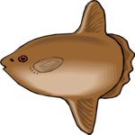 Sunfish 2 Clip Art