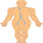 Body 2 Clip Art