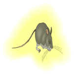 Mouse 15 Clip Art