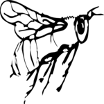 Bee 06 Clip Art