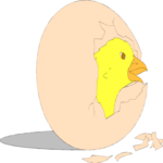 Chick 03 Clip Art