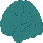 Brain 1 Clip Art