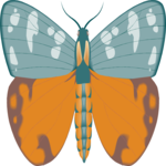 Moth 11 Clip Art