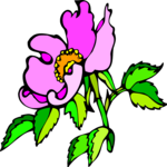 Dog Rose 2 Clip Art