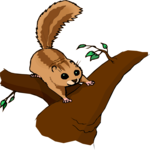 Squirrel 12 Clip Art