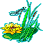 Water Lily 6 Clip Art