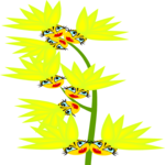 Lime Flowers Clip Art