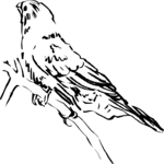 Bird Perched 08 Clip Art