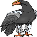 Falcon Clip Art