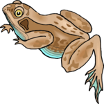 Frog 12 Clip Art