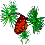 Pine Cone 3 Clip Art