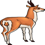 Antelope 17 Clip Art