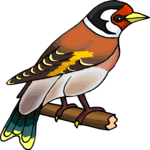 Finch 07 Clip Art