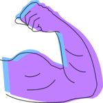 Body Building - Bicep 3 Clip Art