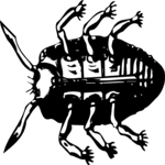 Crawling Insect 05 Clip Art