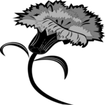 Carnation 3 Clip Art