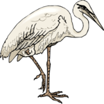 Egret 5 Clip Art